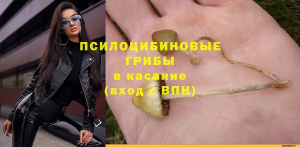 мет Гусев