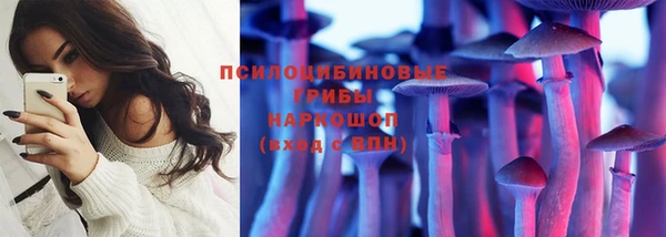 jwh Гусь-Хрустальный